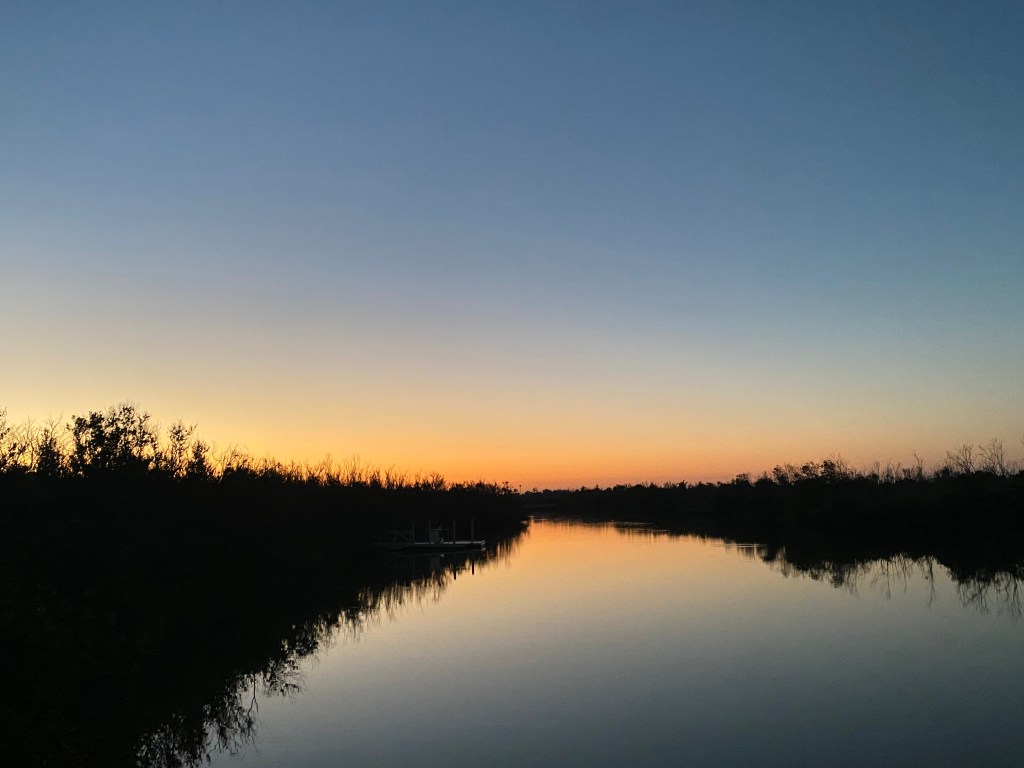 Sand Dollars, Seashells, Sunsets – Fort Myers and Sanibel Island Beaches – March 10-15,&nbsp;2025